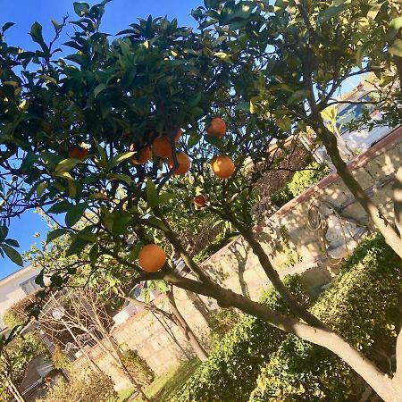 B&B Annetta Ερκολάνο Εξωτερικό φωτογραφία